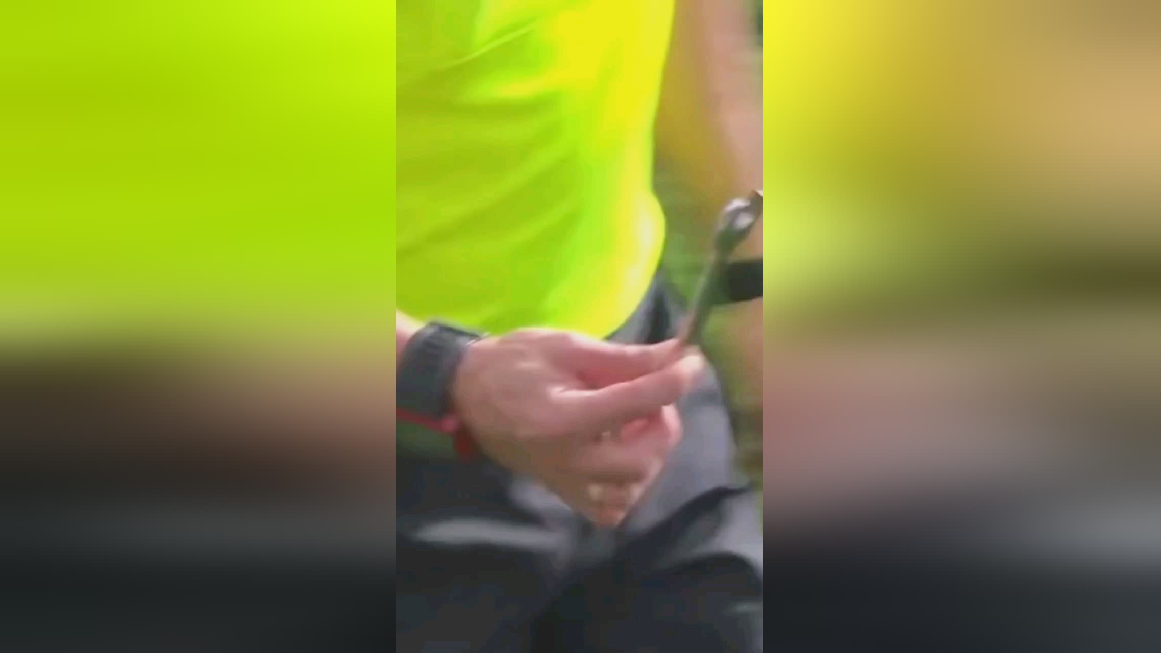 未来的他